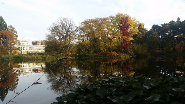 It's Fall in Copenhagen. (Botanical Gardens)